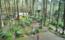 Lokasi Dan Tiket Masuk Kopeng Tree Top