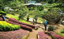 Lokasi Dan Harga Tiket Masuk The Le Hu Garden